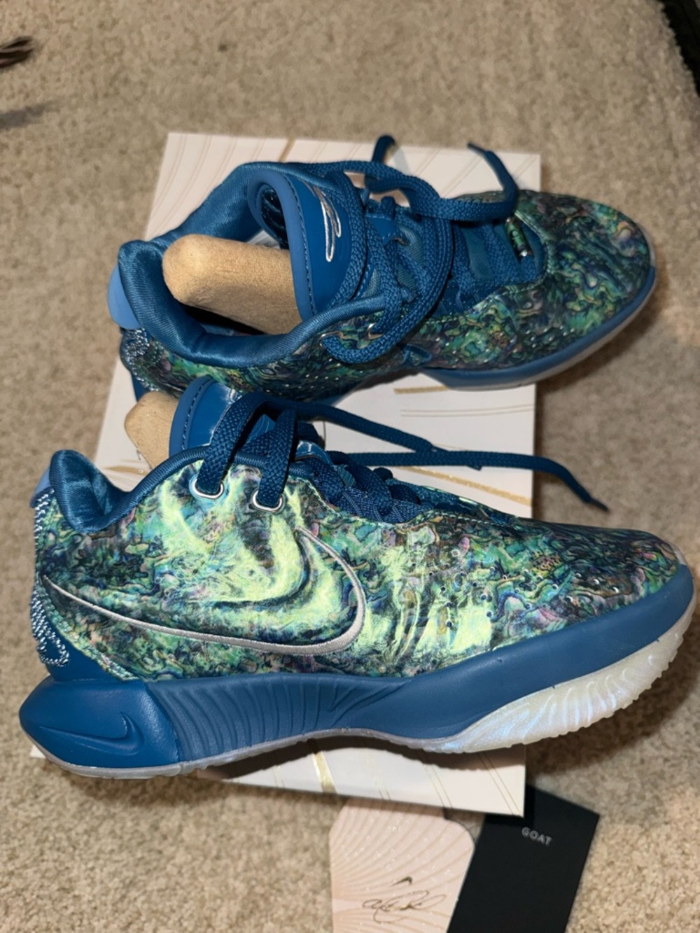 Nike LeBron 21 Abalone FN0708-400